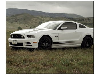 Obraz Mustang GT V8 - Brett Levin, 60x50 cm - Oobrazy