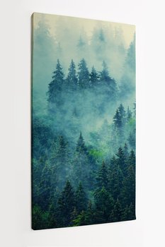 Obraz na płótni HOMEPRINT, mglisty krajobraz górskiego lasu 50x100 cm - HOMEPRINT