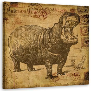 Obraz na płótnie: Afrykański hipopotam, 60x60 cm - Feeby