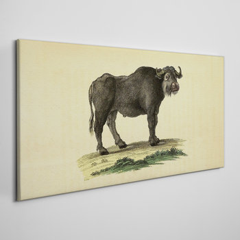 Obraz Na Płótnie Bawół zwierzę rysunek 100x50 cm - Coloray