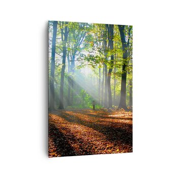 Obraz na płótnie - Blaski i cienie - 70x100cm - Las Drzewa Natura - Nowoczesny foto obraz w ramie do salonu do sypialni ARTTOR - ARTTOR
