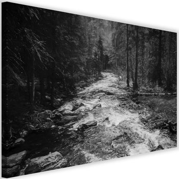 Obraz na płótnie Canvas FEEBY, Bajkowy las, 90x60 cm - Caro