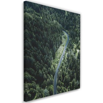 Obraz na płótnie Canvas FEEBY, Droga w lesie, 60x90 cm - Caro