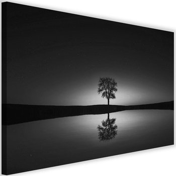 Obraz na płótnie Canvas FEEBY, Drzewo pod gwieździstym niebem, 90x60 cm - Caro