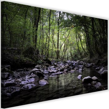 Obraz na płótnie Canvas FEEBY, Leśny strumyk, 90x60 cm - Caro