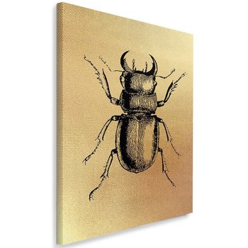 Obraz na płótnie Canvas FEEBY, Narysowany owad, 50x70 cm - Caro