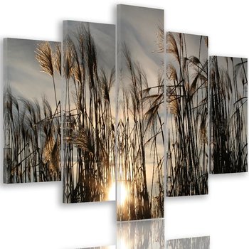 Obraz na płótnie Canvas FEEBY, pentaptyk typ A, Słońce wśród traw, 100x70 cm - Caro