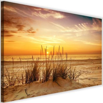 Obraz na płótnie Canvas FEEBY, Trawy na plaży, 90x60 cm - Caro