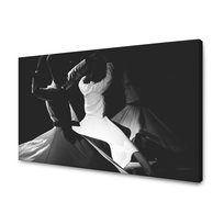 Obraz Na Płótnie Canvas Muzyka Taniec 100X80 Cm - GP TONER