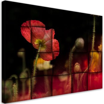 Obraz na płótnie, Czerwony kwiat maku - 120x80 - Inny producent