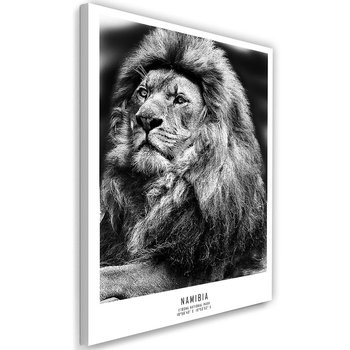 Obraz na płótnie FEEBY, Afryka Lew Zwierzęta 60x90 - Caro
