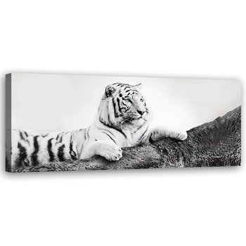 Obraz na płótnie FEEBY, Afryka Tygrys Zwierzęta 90x30 - Feeby