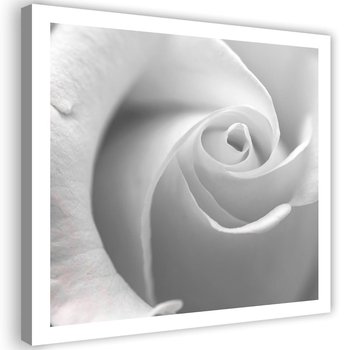 Obraz na płótnie FEEBY, Biała Róża w Makro Kwiat 50x50 - Caro