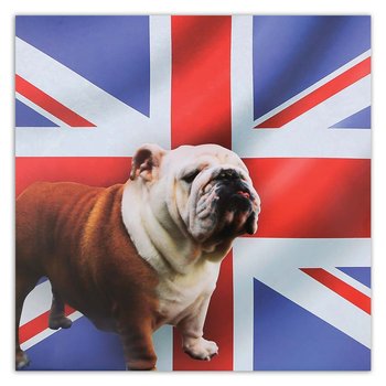 Obraz na płótnie FEEBY, Buldog Pies Angielski Flaga 60x60 - Feeby