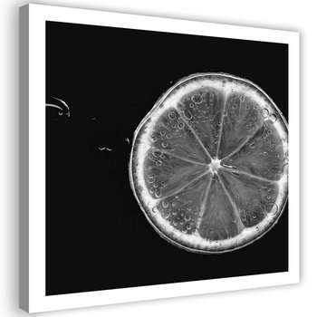 Obraz na płótnie FEEBY, Cytryna Czarno Biały Owoc 80x80 - Caro