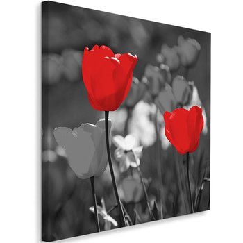 Obraz na płótnie FEEBY, Czerwone Tulipany Kwiaty 50x50 - Caro