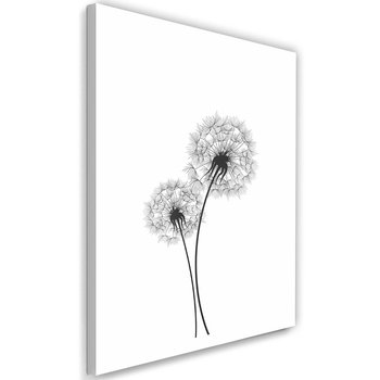 Obraz na płótnie FEEBY, Dmuchawiec Kwiat Natura 40x60 - Caro