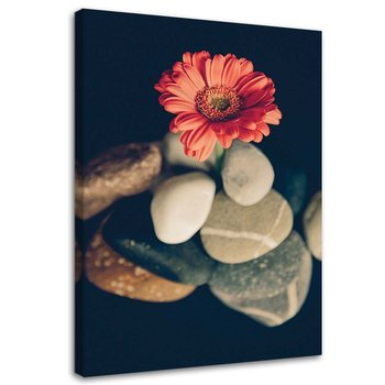 Obraz na płótnie FEEBY, Kamienie i czerwony kwiat 80x120 - Feeby