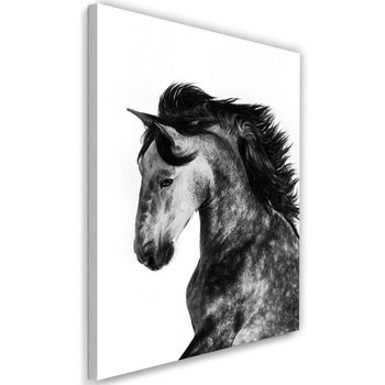 Obraz na płótnie FEEBY, Koń Zwierzęta Galop 60x90 - Caro