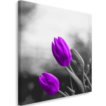 Obraz na płótnie FEEBY, Kwiaty Fioletowe Tulipany 80x80 - Caro