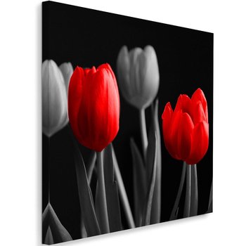 Obraz na płótnie FEEBY, Kwiaty Tulipany Czerwony Szary 50x50 - Caro