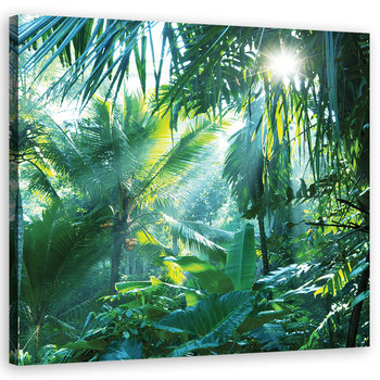 Obraz na płótnie FEEBY, Las Tropikalny Natura 80x80 - Feeby
