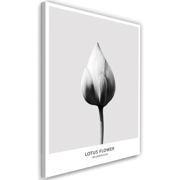 Obraz na płótnie FEEBY, Lotos Kwiat Czarno Biały 40x60 - Caro