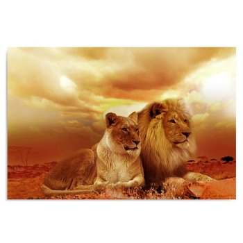 Obraz na płótnie FEEBY, Lwy Zwierzęta Afryka brązowy 100x70 - Caro