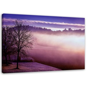 Obraz na płótnie FEEBY, Mgła nad jeziorem 120x80 - Feeby