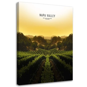 Obraz na płótnie FEEBY, Napa Valley 80x120 - Feeby