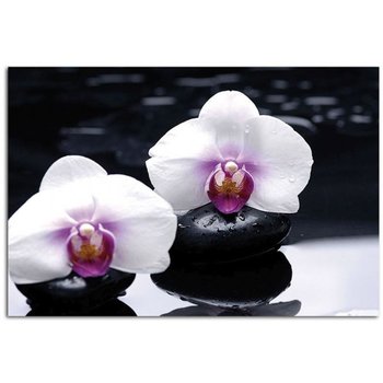 Obraz na płótnie FEEBY, Orchidea Zen Kamienie 50x40 - Caro