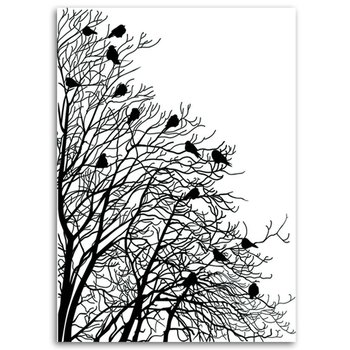 Obraz na płótnie FEEBY, Ptaki Gałęzie Czarno Biały 60x90 - Feeby