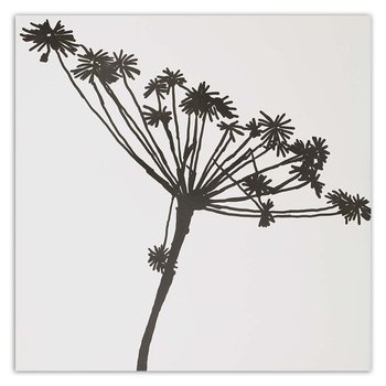 Obraz na płótnie FEEBY, Roślina Czarno Biały 30x30 - Feeby