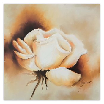 Obraz na płótnie FEEBY, Róża Kwiat Biały Natura 30x30 - Feeby