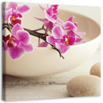 Obraz na płótnie FEEBY, Różowe orchidee w naczyniu 30x30 - Feeby