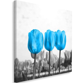 Obraz na płótnie FEEBY, Trzy Tulipany Natura 80x80 - Caro