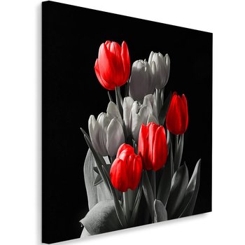 Obraz na płótnie FEEBY, Tulipan Czerwony Szary 50x50 - Caro