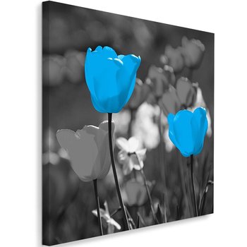 Obraz na płótnie FEEBY, Tulipan Niebieski Natura 50x50 - Caro