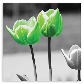 Obraz na płótnie FEEBY, Tulipany Kwiaty Zielony 30x30 - Feeby