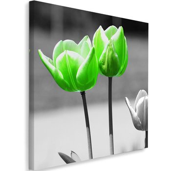 Obraz na płótnie FEEBY, Tulipany Kwiaty Zielony 50x50 - Caro