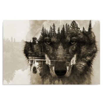 Obraz na płótnie FEEBY, Wilk na tle lasu - brązowy 120x80 - Caro