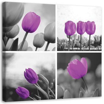 Obraz na płótnie FEEBY, Zestaw fioletowych tulipanów 30x30 - Feeby