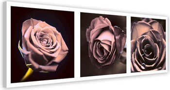 Obraz na płótnie FEEBY, Zestaw Róże Panorama 140x45 - Caro