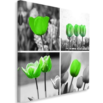 Obraz na płótnie FEEBY, Zestaw Zielone Tulipany 80x80 - Caro