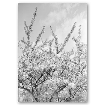 Obraz na płótnie Flowering Branches 60x90 - Legendarte