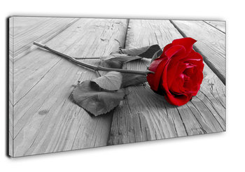 Obraz na płótnie, GALERIA PLAKATU, Róża na Pomoście, 120x90 cm - Galeria Plakatu