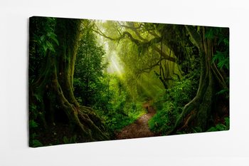 Obraz na płótnie HOMEPRINT,  azjatycki tropikalny las deszczowy 120x50 cm - HOMEPRINT