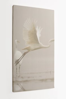 Obraz na płótnie HOMEPRINT, czaple, ptaki, poranek, jezioro 60x120 cm - HOMEPRINT