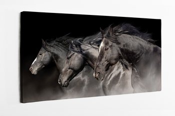 Obraz na płótnie HOMEPRINT, czarne konie, mustangi, galop 120x50 cm - HOMEPRINT