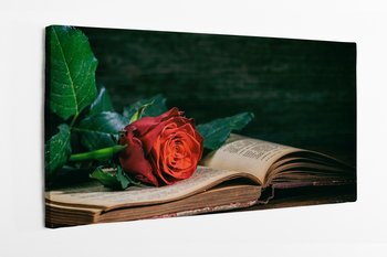 Obraz na płótnie HOMEPRINT, czerwona róża, książka, dramat, kwiat 140x70 cm - HOMEPRINT